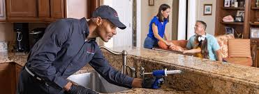 Real Estate Pest Inspections in Milton, FL